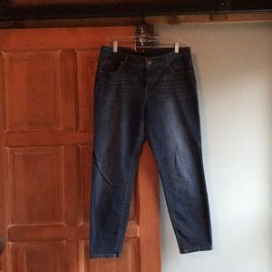 Skinny Jean, Size 16